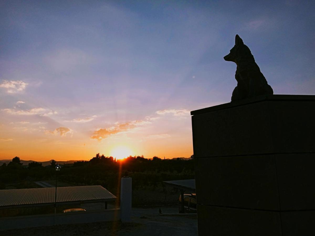Hotel El Zorro Barranda エクステリア 写真